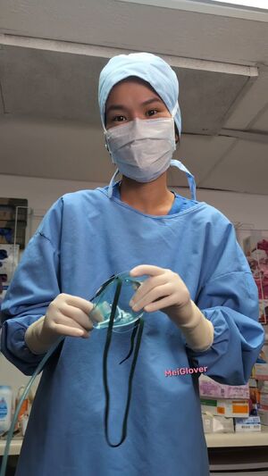 MedFet Latex Gloves Medical