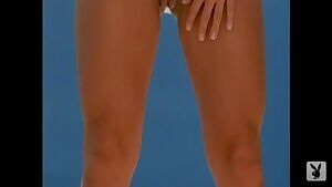 Terri Harrison