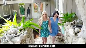 Not a bad introduction.