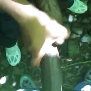 In the bushes at the park