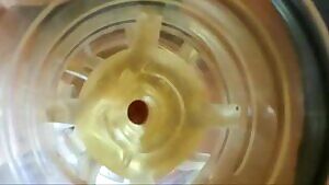 Internal ice