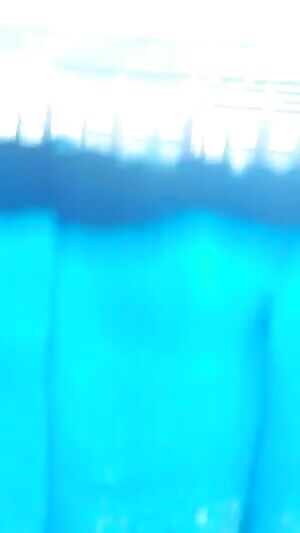 Monitor lizard kills a cat in muddy water