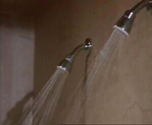 Shauna O’Brien- The Escort