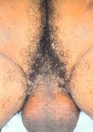 Edge Humping Dry Hump Edging Gooning