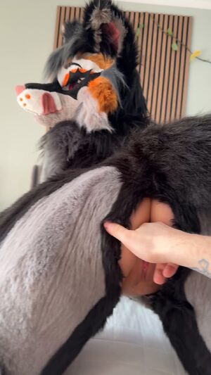 Solo Furries Amateur Ass Furry OnlyFans