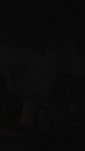 When the lights. cum on