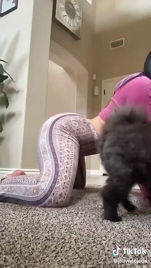 Twerk