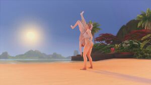 Ball Worship Balls Sucking Beach Blowjob