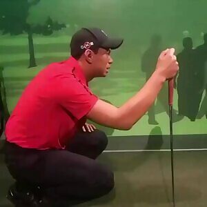 Tiger surveying the hole