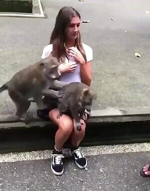 If there is something tourists don't wanna skip during their visit is a picture with the monkeys.