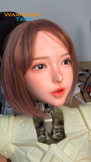Realistic Love Dolls Doll Robot