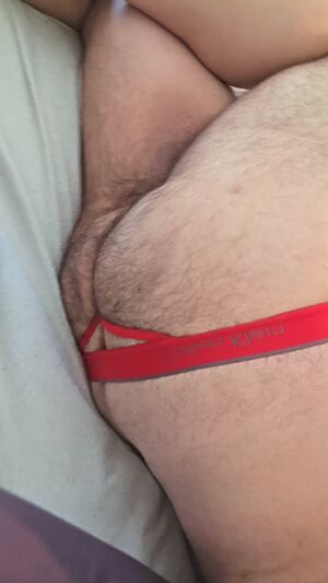 Bears Ass Bear Chubby Gay