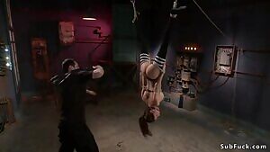 Whipped Upside Down
