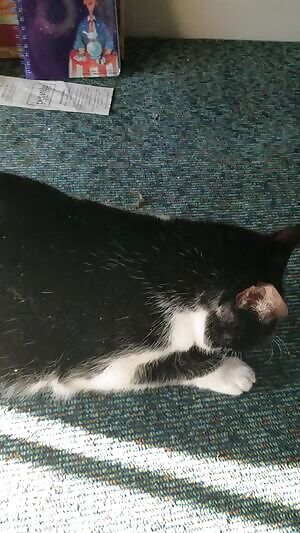 It isn't as fun playing with myself, could you give me a helping hand? ;)