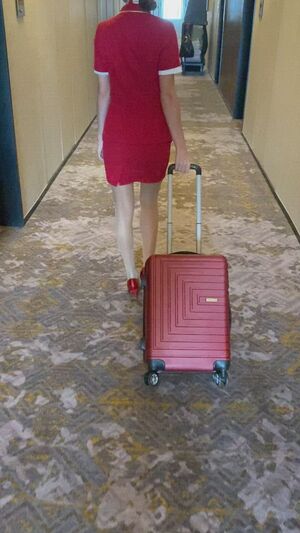 Flight Attendants High Heels Hotel Pantyhose