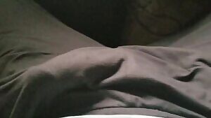 Morning Wood and Daylight 🌤