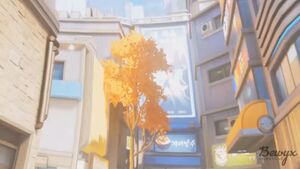 D.Va Fucked Public (Overwatch)