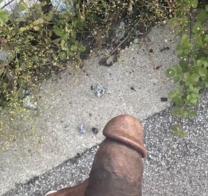 Hippie Chicks BBC Big Dick OnlyFans