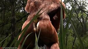 Bears In The Woods - 400 Frames Preview