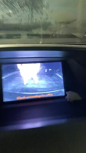 Putting my ass in reverse 😉