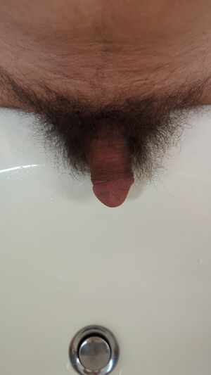 Male Pissing Hairy Cock Pee Peeing