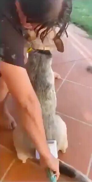 Blessed Butt wiggles!