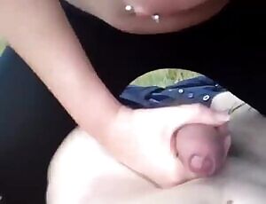 Tit job in a field