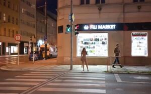 Public Flashing Ass Babe Exhibitionism Exhibitionist