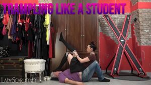 Trampling BDSM Domination Femdom Humiliation