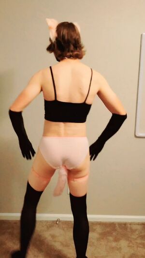 Catboys Ass Shaking Cute Femboy PetPlay
