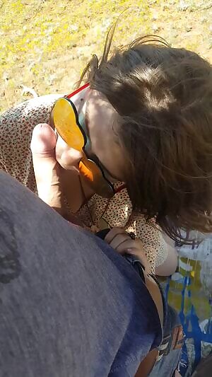 Something something birds & bees & flowers & nectar