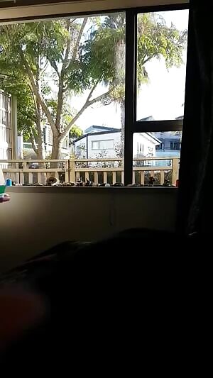 I'm back! Hope the neighbours don't mind the show...