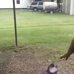 Cause of recent Mexico earthquakes.