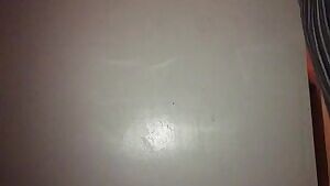 Where would you like my creamy load to land?