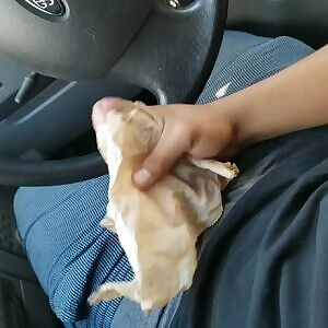 Had to pull over and take care of this hard on.. came through the napkin. Thought it was going to block it lol.