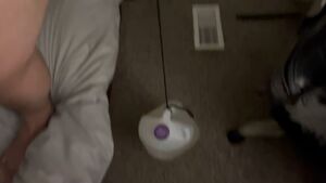 CBT JOI Ball Worship Ballbusting Ballplay
