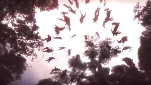 REJOICE, brothers and sisters! You have been C̷͔̜̠̋͒̄H̷̢͉̉͛̐Ö̷̰̮̘́̈́̂S̴̨̿̊͝E̶̛͉̟̳̐̉N̵̨̨̗͍̈́