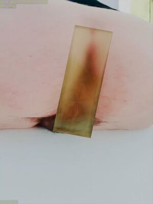 Solo Trans Ass Censored FTM Findom