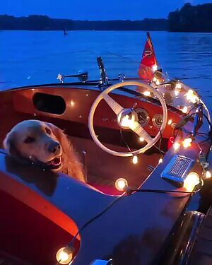 Tits aren’t the only reason ;)