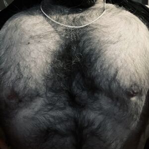 Gay Nipple Play Amateur Bear Hairy Chest