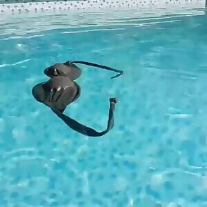 In the pool..