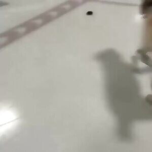 Her tits are just bouncing so good