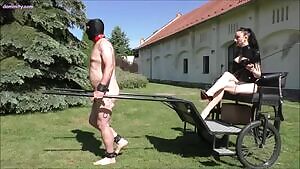 Lady Mephista in charge.