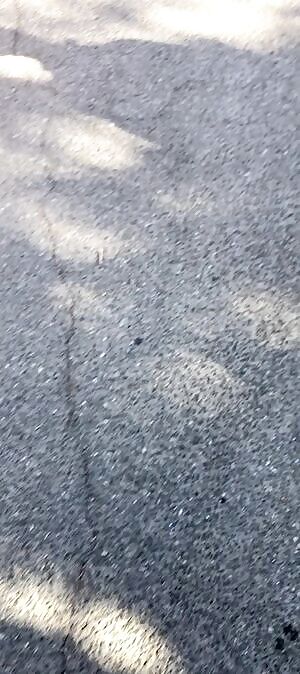 Sexy Latina with bouncy boltons 😍