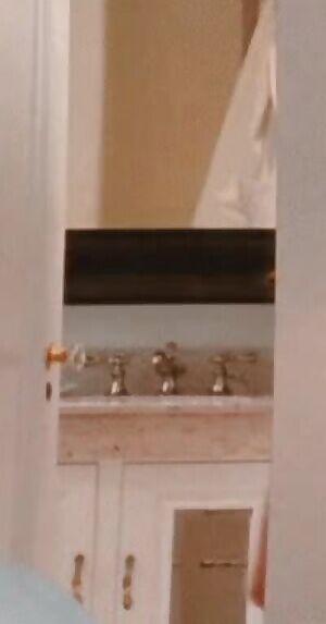 Amanda Seyfried has the most perfect ass