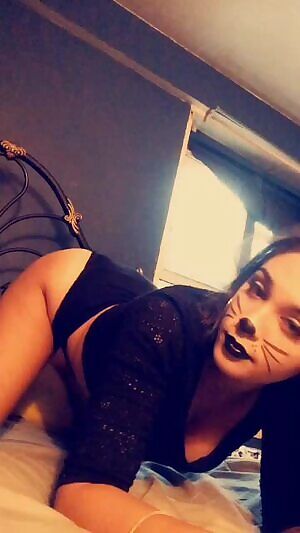 Pet waiting for you at home