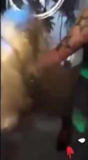 Seeing how many she can lick in a minute