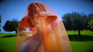Sydney in a field