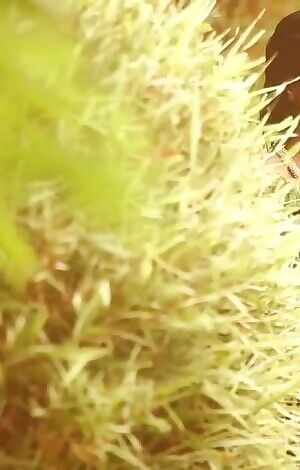 Pooja Hedge. Do these photoshoots more often please