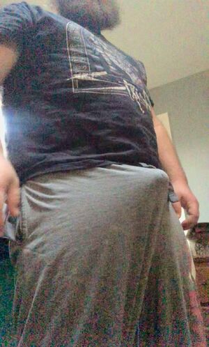 Bears Bear Beard Bisexual Cut Cock